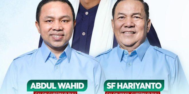Nihil, Pengajuan Permohonan Gugatan Pilgubri ke MK