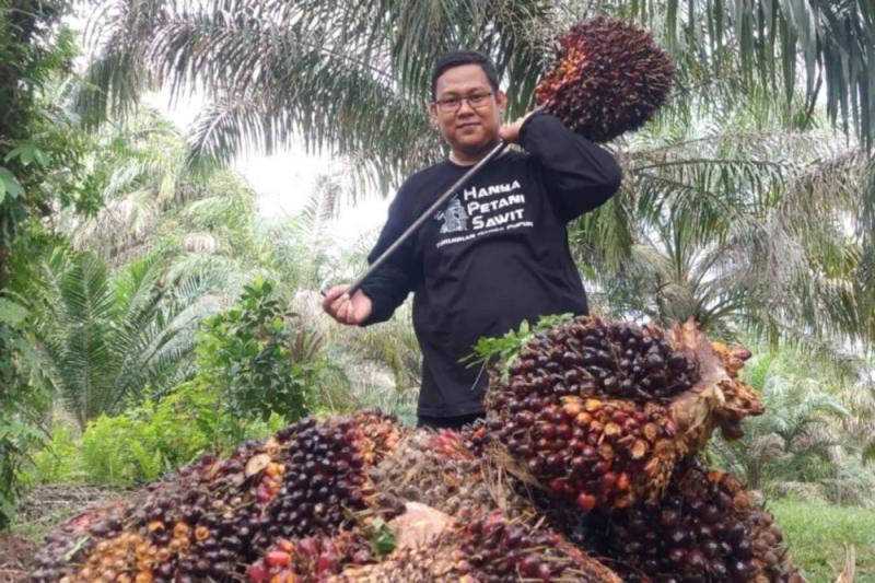 Capaian Pajak di Riau Ditopang PPN, PBB dan Harga Sawit Menguat