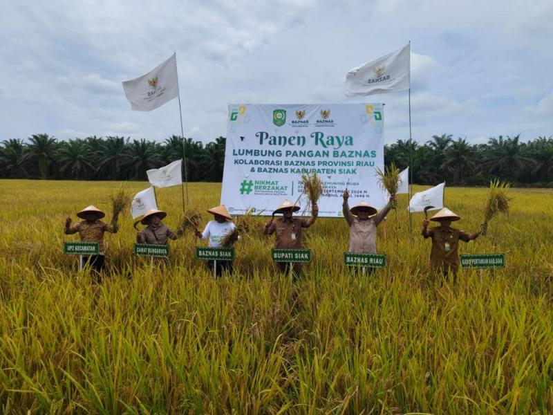 Program Lumbung Pangan, Baznas Riau Sukses Panen Padi