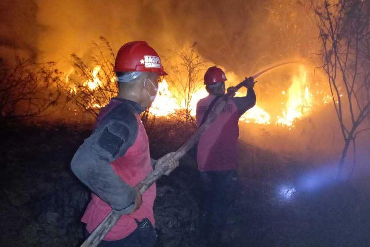 Kabut Asap Karhutla Riau Mulai Mengancam Kesehatan Warga