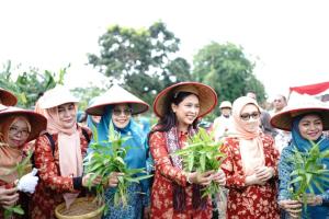 Penasihat DWP Kementan RI Apresiasi Pemprov Riau