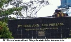 PT Dian Anggara Persada Diduga Beroperasi di Kawasan Hutan Produksi