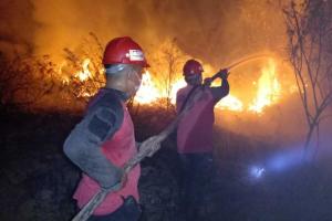 Kabut Asap Karhutla Riau Mulai Mengancam Kesehatan Warga